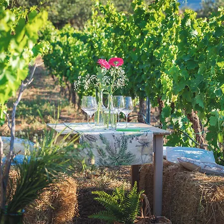 Hotel Ristorante S'astore