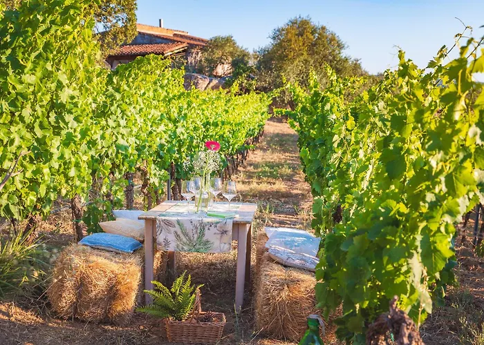 Ristorante S'astore 4* Benetutti